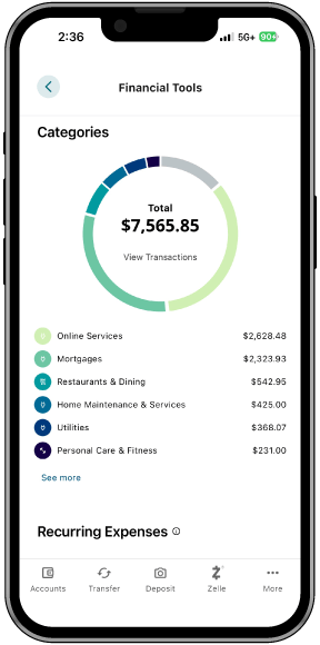 Screenshot of Spending Insights tool