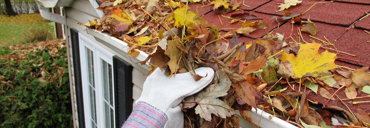 Hand cleaning leaves out of a gutter.