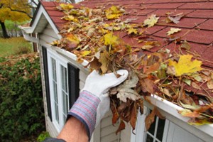 Cleaning leaves out of gutters
