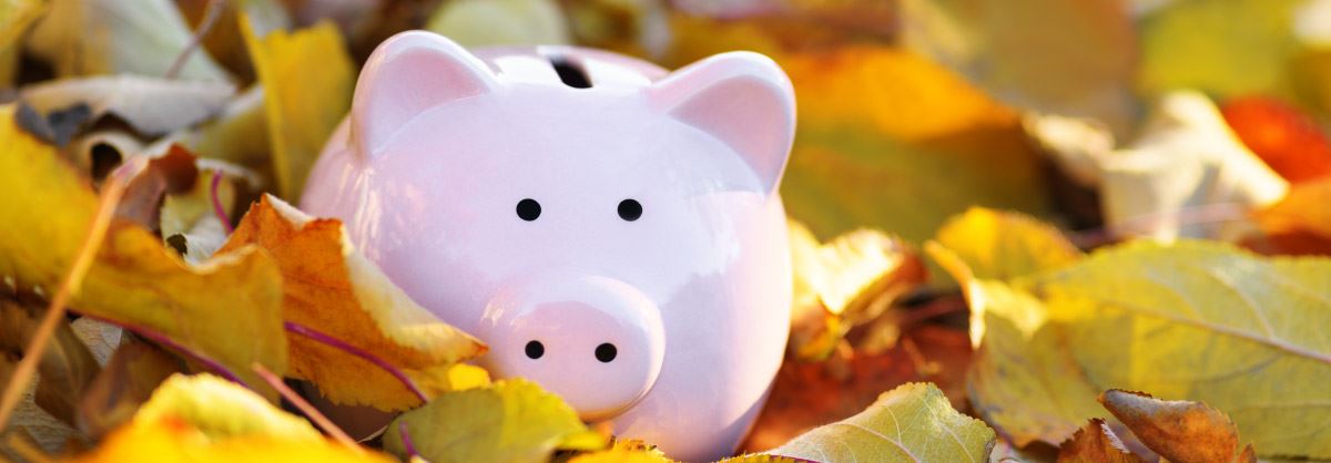 Piggy bank in leaves.